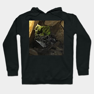 Out To The Jurassic Hoodie